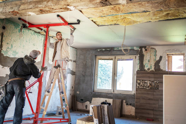 Best Wall Insulation Installation  in Tarkio, MO